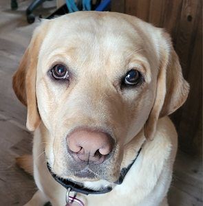 Meet your Posher, Kathy